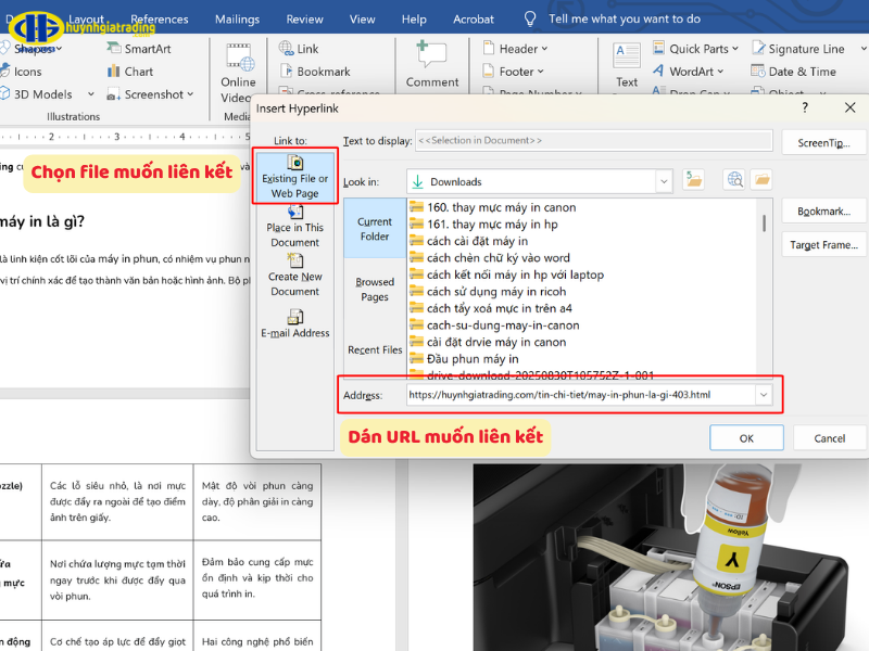 Tạo liên kết đến một Trang Web hoặc File khác (External Link)