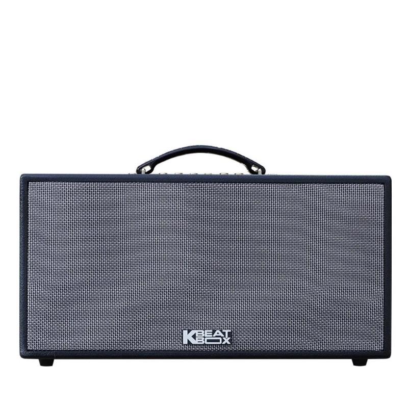 Các dòng loa kéo acnos: Loa Karaok ACNOS CS216X150