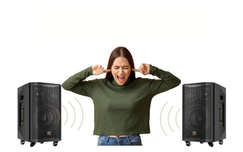 Loa Bluetooth bị rè