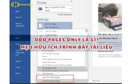Odd pages only là gì? Mẹo hữu ích trình bày tài liệu chuyên nghiệp
