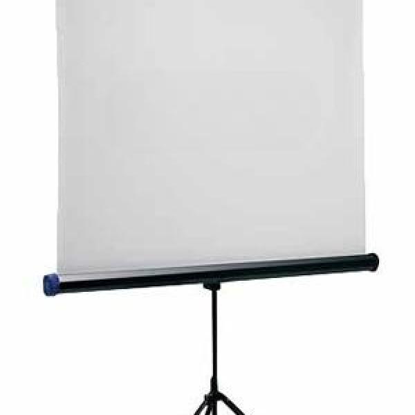 Màn chiếu chân Dalite 84 inch x 84 inch (P84TS/CN-C120)
