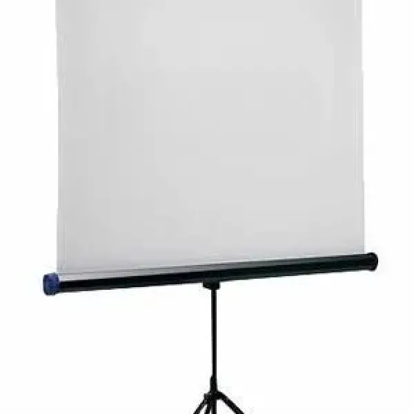 Màn chiếu chân Dalite 84 inch x 84 inch (P84TS/CN-C120)