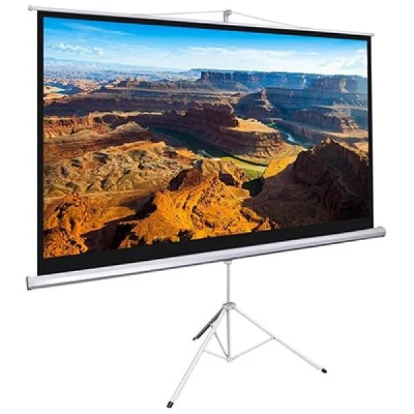 Màn chiếu chân Dalite 84 inch x 84 inch (P84TS/CN-C120)