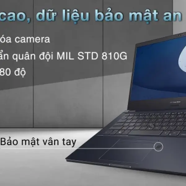 Máy tính xác tay ASUS P2451F I3-10110U/8G/256GB SSD/UMA/14inh HD/FP/WIN10/Đen(P2451FA-BV3168T)02YEAR