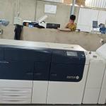 Xerox Color C60/C70 - PrimeLink C9065/C9070 Color Printer