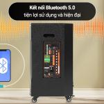 Loa kéo karaoke Nanomax S-820 400w