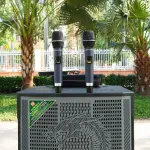 Loa Kéo Nanomax GT-2024 Bass 50cm 820w Karaoke Bluetooth