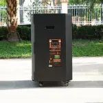 Loa Kéo Nanomax GT-2024 Bass 50cm 820w Karaoke Bluetooth