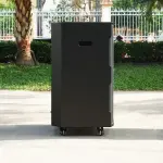 Loa Kéo Nanomax GT-2024 Bass 50cm 820w Karaoke Bluetooth