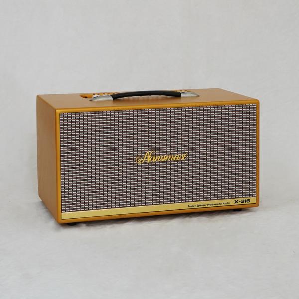 Loa Karaoke Xách Tay Nanomax X-316 Bass Đôi 16cm 320w