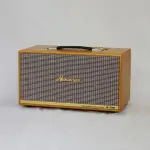 Loa Karaoke Xách Tay Nanomax X-316 Bass Đôi 16cm 320w