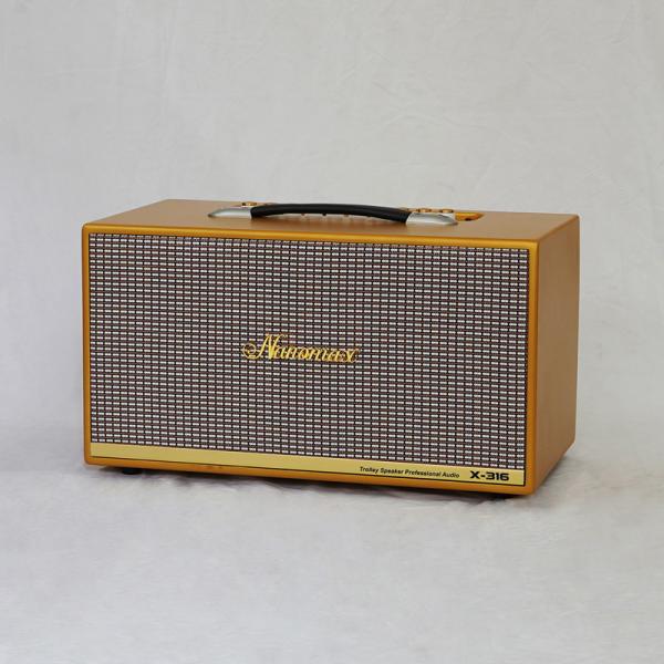 Loa Karaoke Xách Tay Nanomax X-316 Bass Đôi 16cm 320w