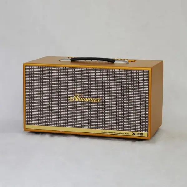 Loa Karaoke Xách Tay Nanomax X-316 Bass Đôi 16cm 320w