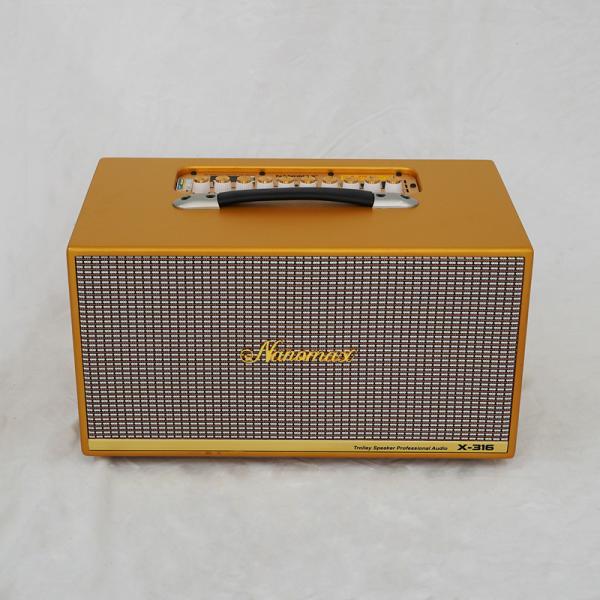Loa Karaoke Xách Tay Nanomax X-316 Bass Đôi 16cm 320w