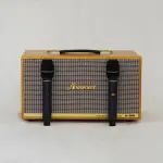 Loa Karaoke Xách Tay Nanomax X-316 Bass Đôi 16cm 320w