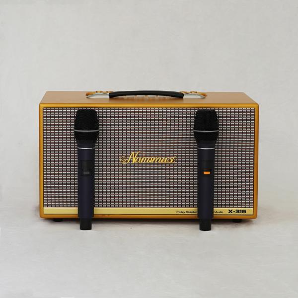 Loa Karaoke Xách Tay Nanomax X-316 Bass Đôi 16cm 320w