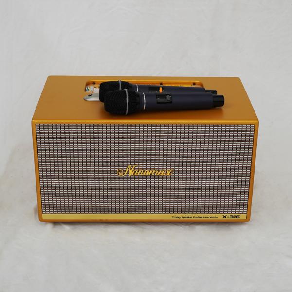 Loa Karaoke Xách Tay Nanomax X-316 Bass Đôi 16cm 320w