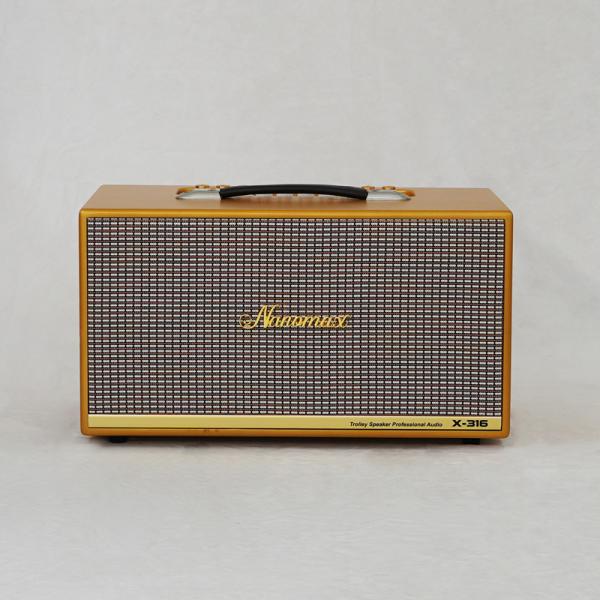 Loa Karaoke Xách Tay Nanomax X-316 Bass Đôi 16cm 320w
