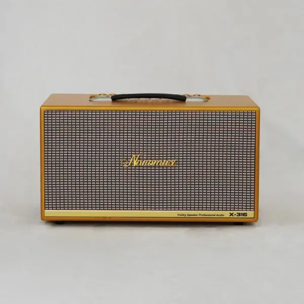 Loa Karaoke Xách Tay Nanomax X-316 Bass Đôi 16cm 320w
