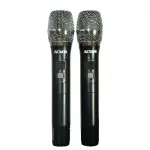 Loa Karaok ACNOS CS300 100W