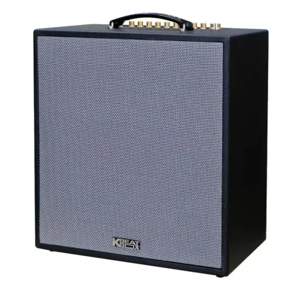 Loa Karaok ACNOS CS300 100W