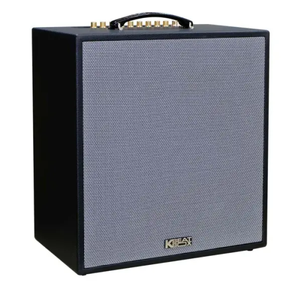 Loa Karaok ACNOS CS300 100W