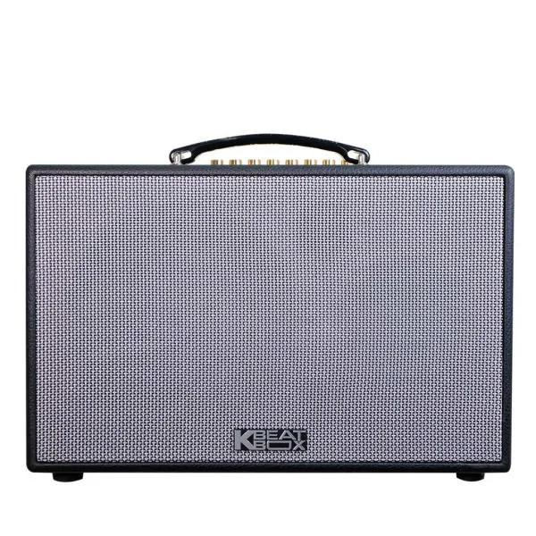 Loa Karaok ACNOS CS201PU 70w