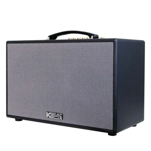 Loa Karaok ACNOS CS201PU 70w