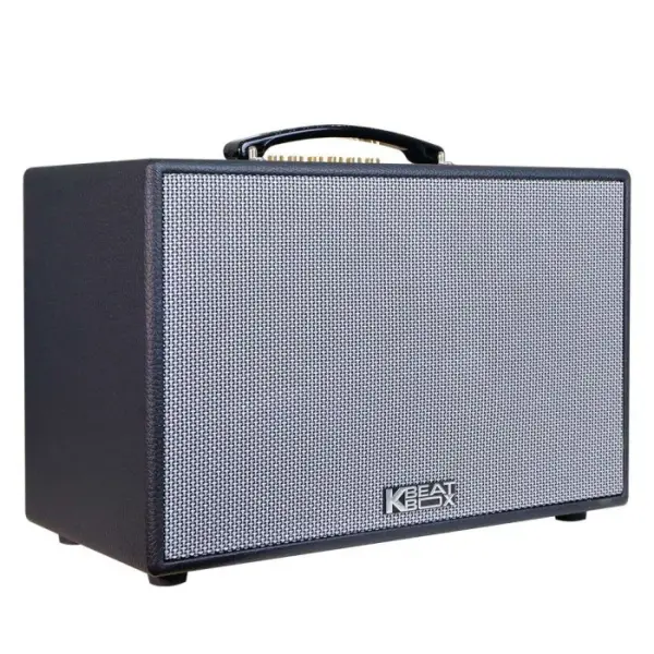 Loa Karaok ACNOS CS201PU 70w