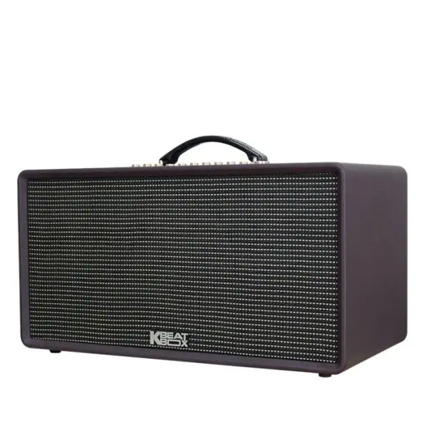 Loa Karaok ACNOS FLAC 36