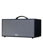 Loa Karaok ACNOS CS216X150
