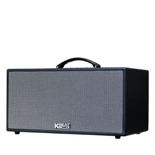 Loa Karaok ACNOS CS216X150