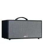 Loa Karaok ACNOS CS216X150