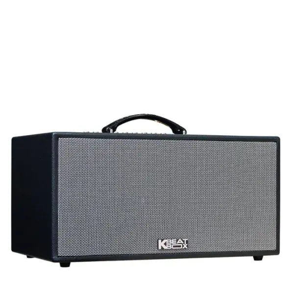 Loa Karaok ACNOS CS216X150