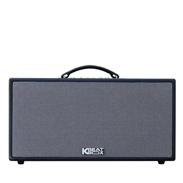 Loa Karaok ACNOS CS448