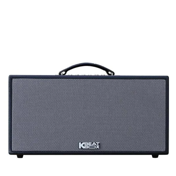 Loa Karaok ACNOS CS448