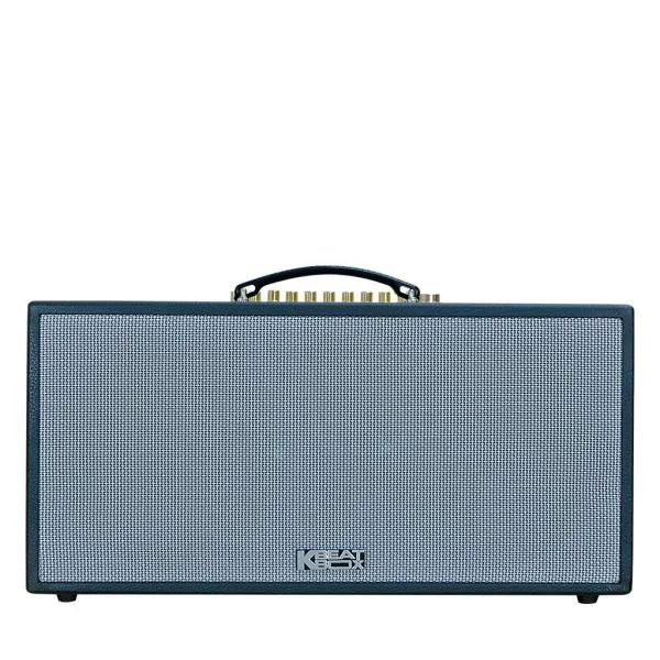 Loa karaok ACNOS CS16D100000