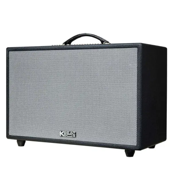Loa Karaok ACNOS CS448
