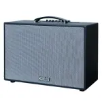 Loa Karaok ACNOS CS25D300