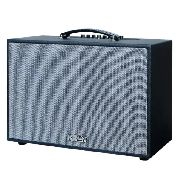 Loa Karaok ACNOS CS25D300