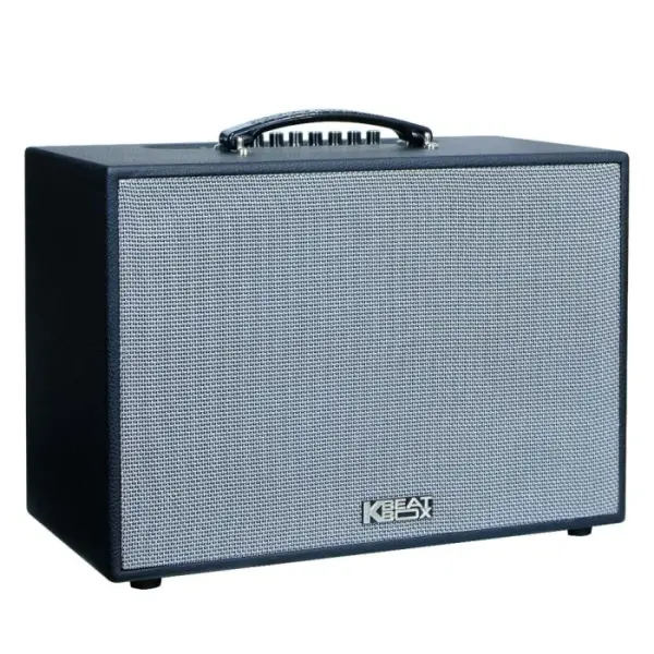 Loa Karaok ACNOS CS25D300