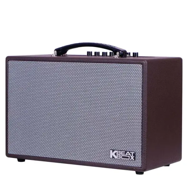 Loa Karaok ACNOS CS16D200