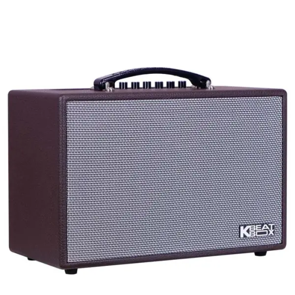 Loa Karaok ACNOS CS16D200