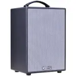 Loa Karaok ACNOS CS141