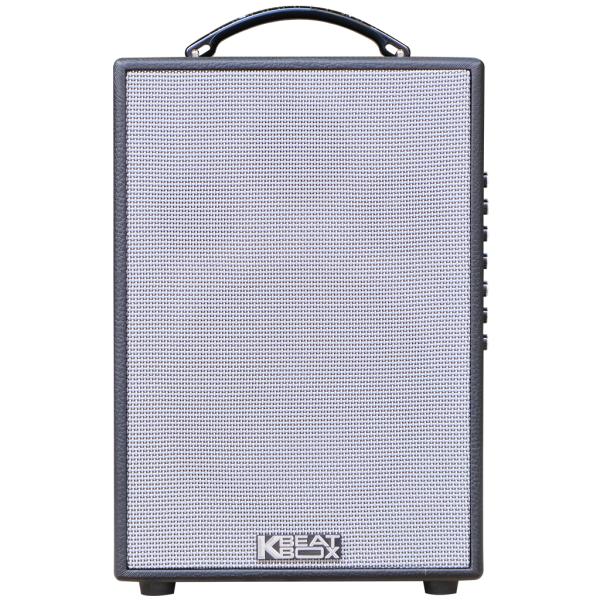 Loa Karaok ACNOS CS121