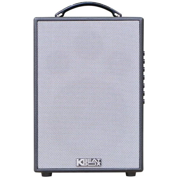 Loa Karaok ACNOS CS141