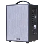 Loa Karaok ACNOS CS141
