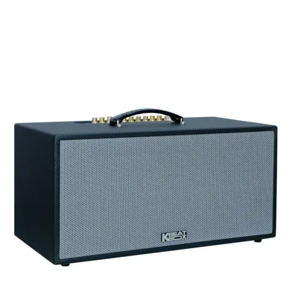 Loa Karaok ACNOS CS451PLUS