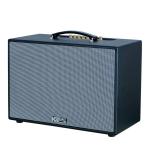 Loa Karaok ACNOS CS2501PU