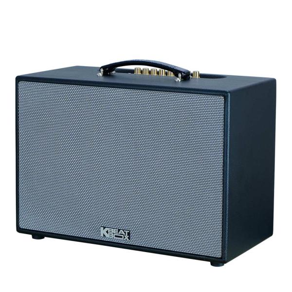 Loa Karaok ACNOS CS2501PU